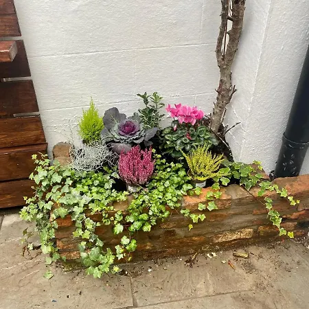 Casa de hóspedes Number 31 Boutique Townhouse Galway